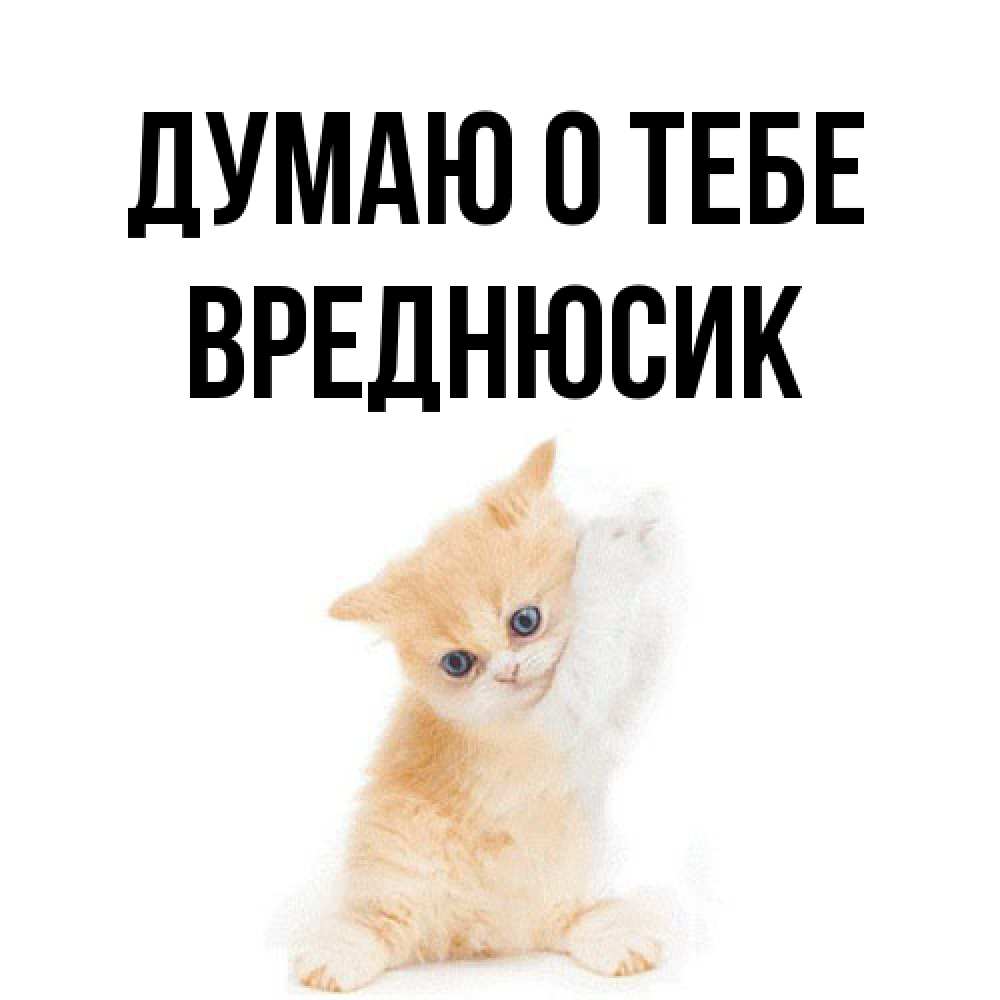 Открытка на каждый день с именем, Вреднюсик Думаю о тебе зверушки и милота Прикольная открытка с пожеланием онлайн скачать бесплатно 