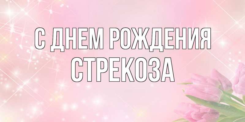 Картинка С днем рождения, Стрекоза