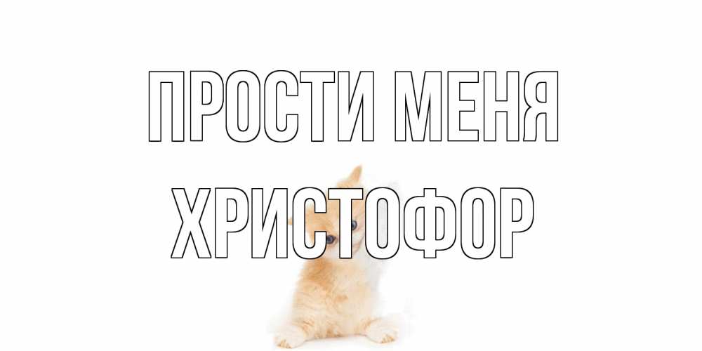 Открытка на каждый день с именем, Христофор Прости меня кот Прикольная открытка с пожеланием онлайн скачать бесплатно 
