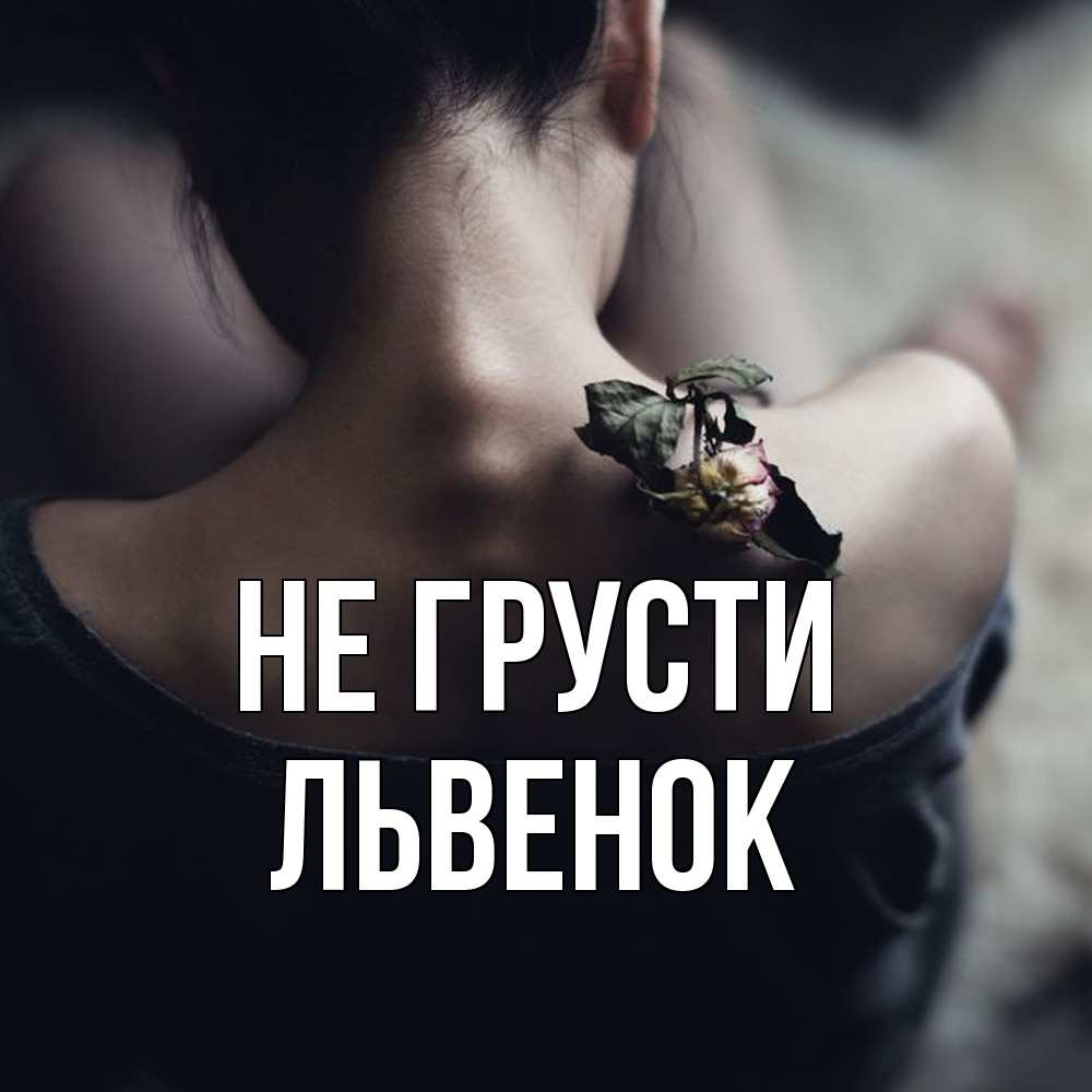 Открытка на каждый день с именем, Львенок Не грусти девушка со спины Прикольная открытка с пожеланием онлайн скачать бесплатно 