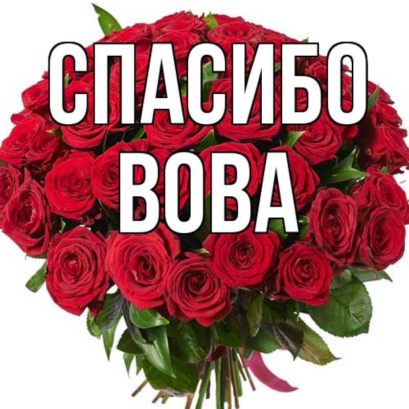 Картинка Спасибо, Вова