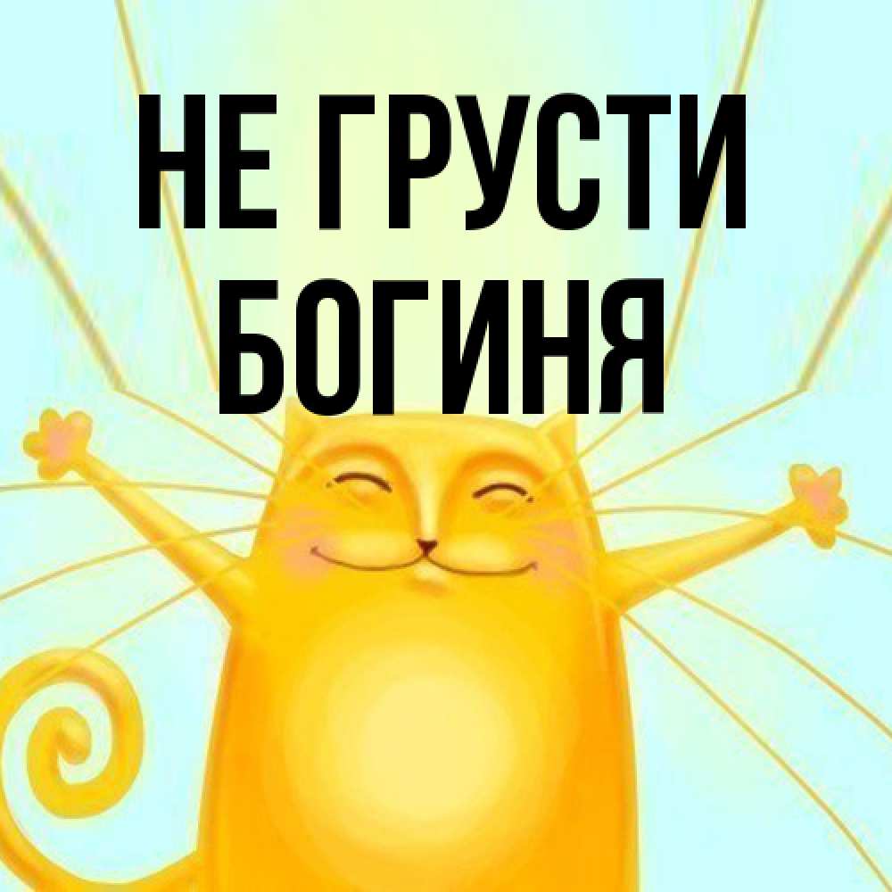 Открытка на каждый день с именем, Богиня Не грусти обнимашки усатые Прикольная открытка с пожеланием онлайн скачать бесплатно 