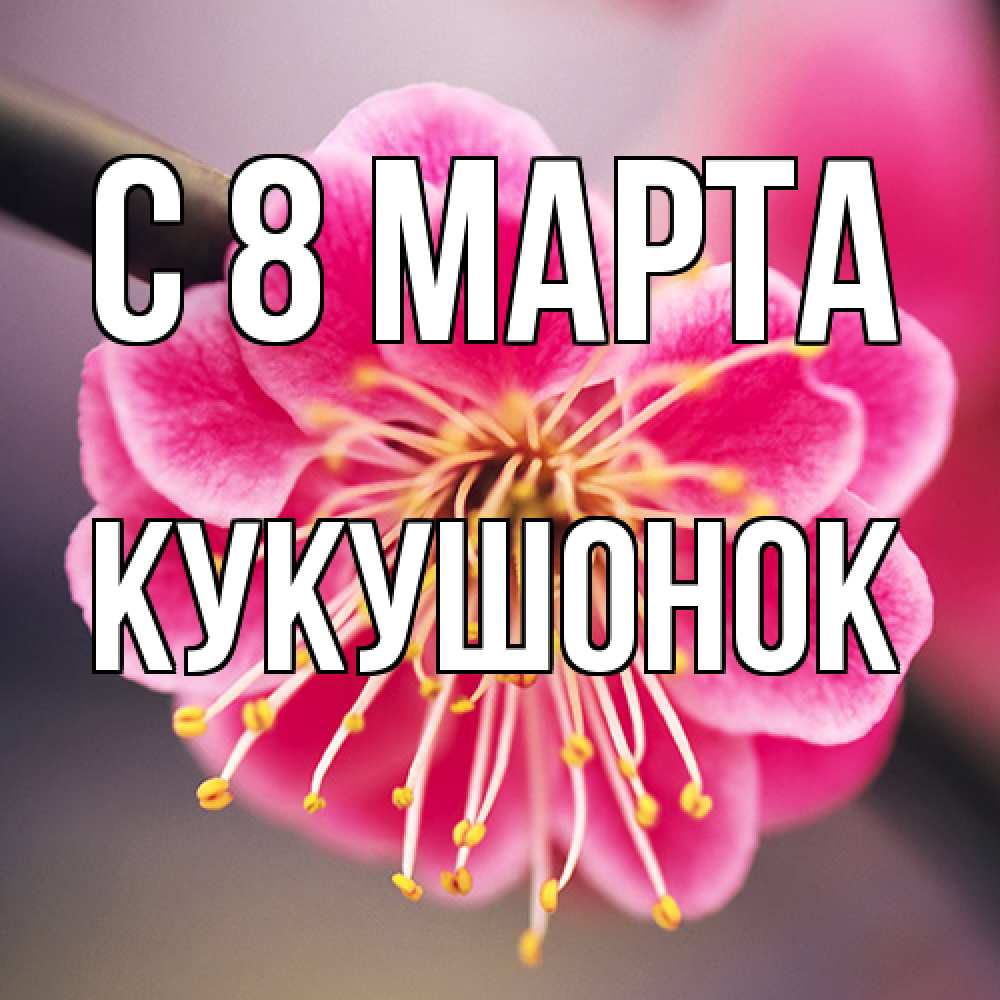 Открытка на каждый день с именем, кукушонок C 8 МАРТА цветы Прикольная открытка с пожеланием онлайн скачать бесплатно 