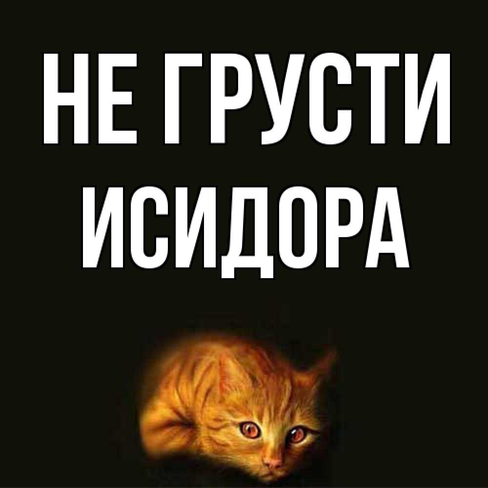 Открытка на каждый день с именем, Исидора Не грусти лежащий кот в темноте Прикольная открытка с пожеланием онлайн скачать бесплатно 