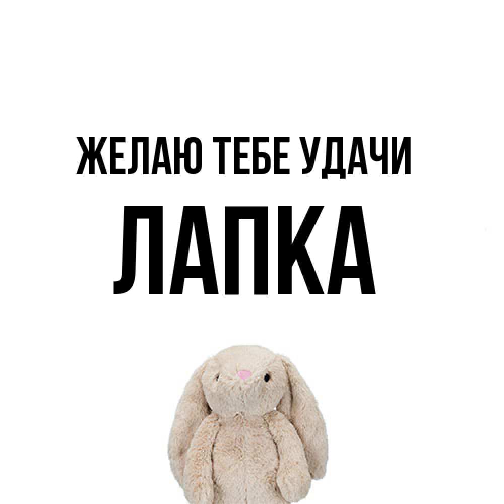 Открытка на каждый день с именем, лапка Желаю тебе удачи сайт создаватель открыток Прикольная открытка с пожеланием онлайн скачать бесплатно 