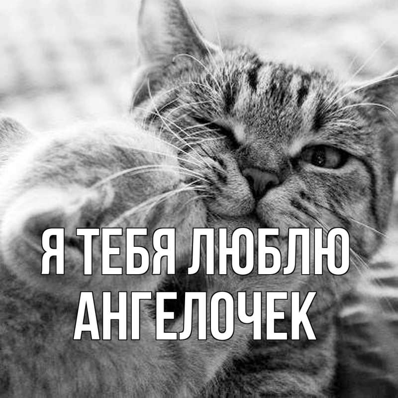 Картинка Я тебя люблю, Ангелочек