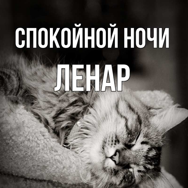 Картинка Спокойной ночи, Ленар