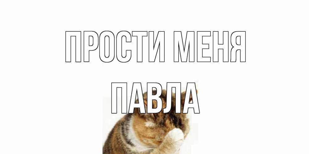 Открытка на каждый день с именем, Павла Прости меня кот Прикольная открытка с пожеланием онлайн скачать бесплатно 