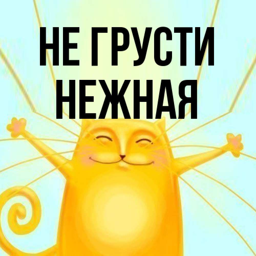 Открытка на каждый день с именем, Hежная Не грусти обнимашки усатые Прикольная открытка с пожеланием онлайн скачать бесплатно 