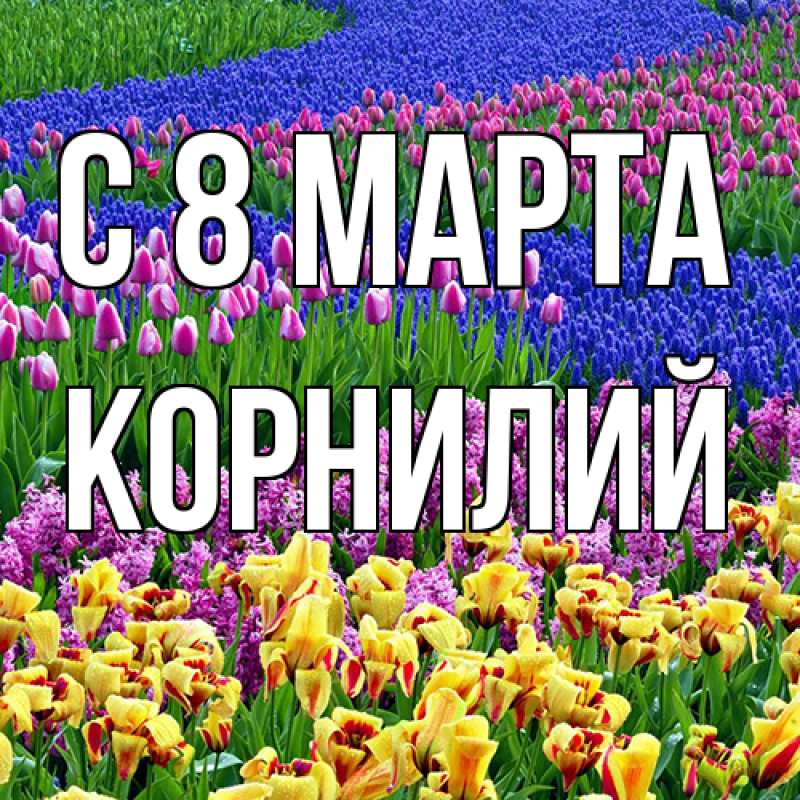Картинка C 8 МАРТА, Корнилий