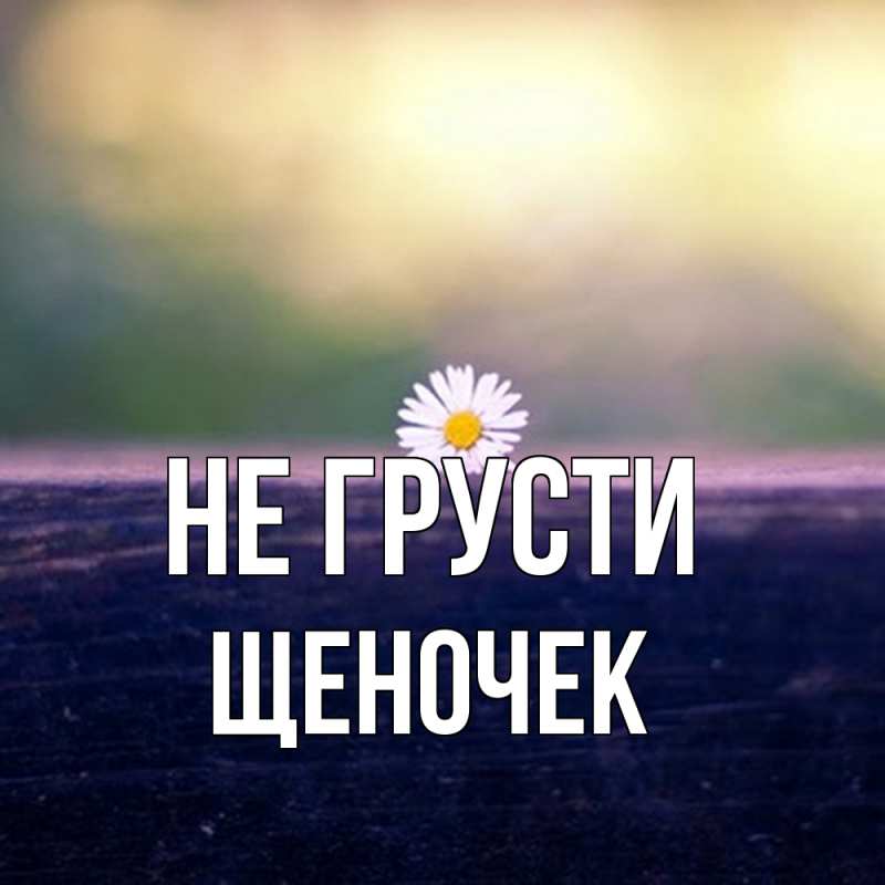 Картинка Не грусти, Щеночек