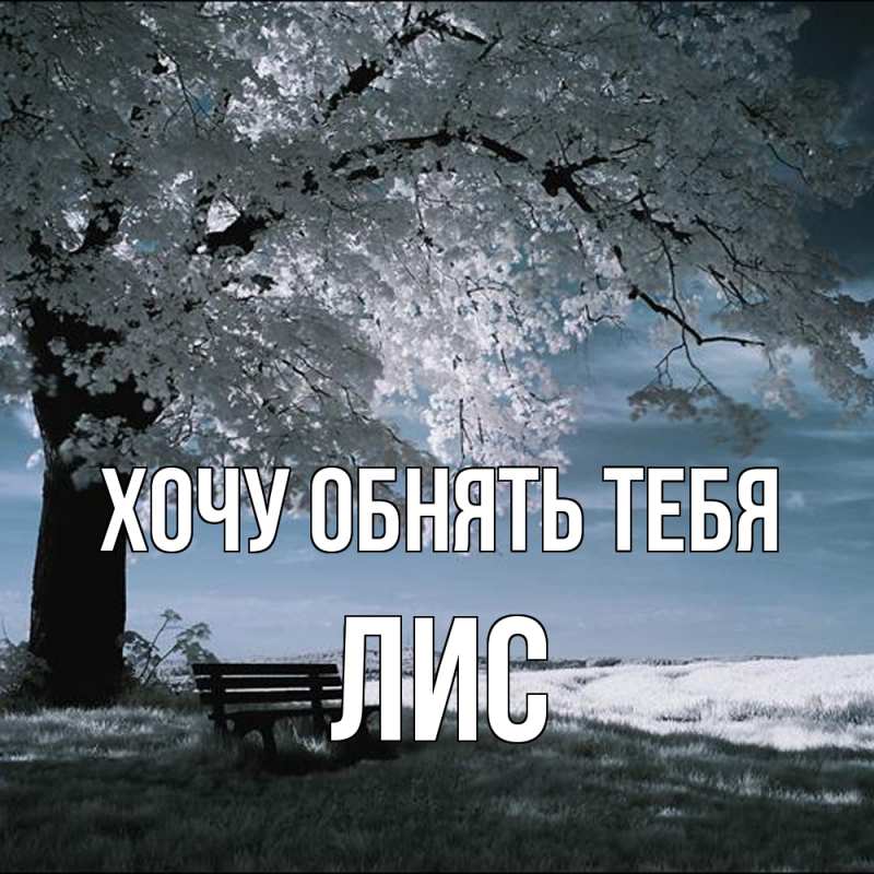 Картинка Хочу обнять тебя, лис