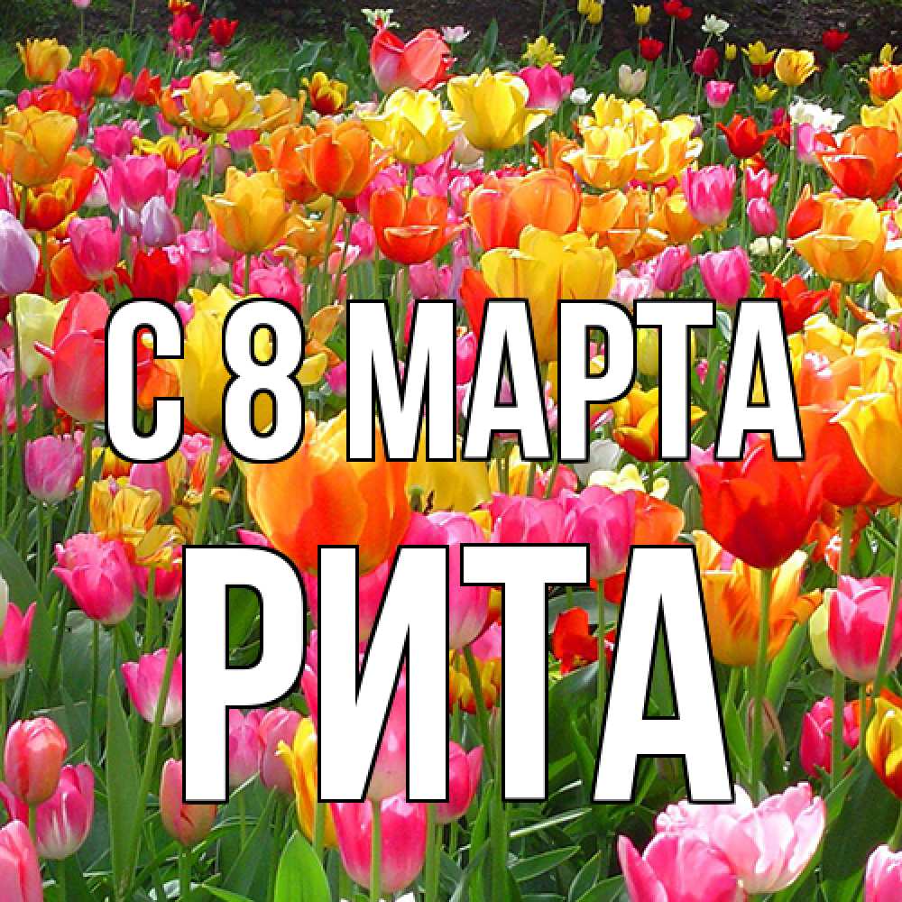 Открытка на каждый день с именем, Рита C 8 МАРТА на международный женский день Прикольная открытка с пожеланием онлайн скачать бесплатно 
