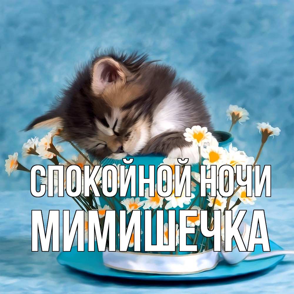 Открытка на каждый день с именем, мимишечка Спокойной ночи котенок спит в кружке с блюдцем Прикольная открытка с пожеланием онлайн скачать бесплатно 
