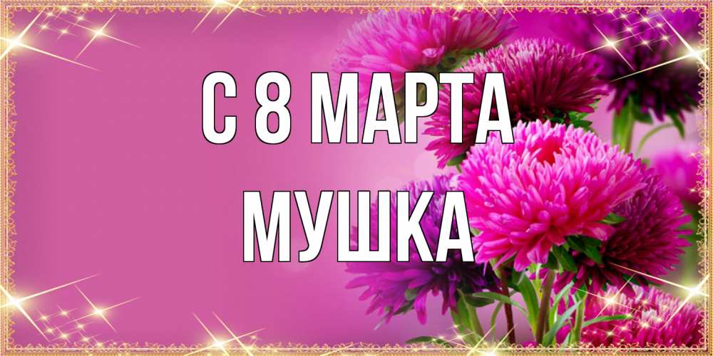 Открытка на каждый день с именем, мушка C 8 МАРТА садовые цветы на 8 марта Прикольная открытка с пожеланием онлайн скачать бесплатно 