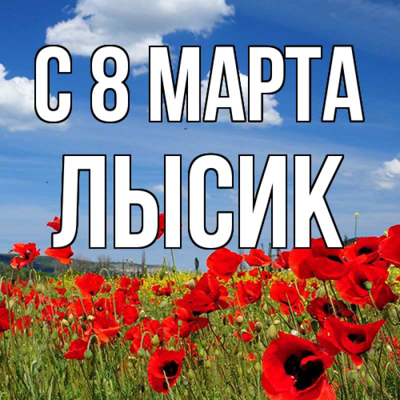 Картинка C 8 МАРТА, Лысик