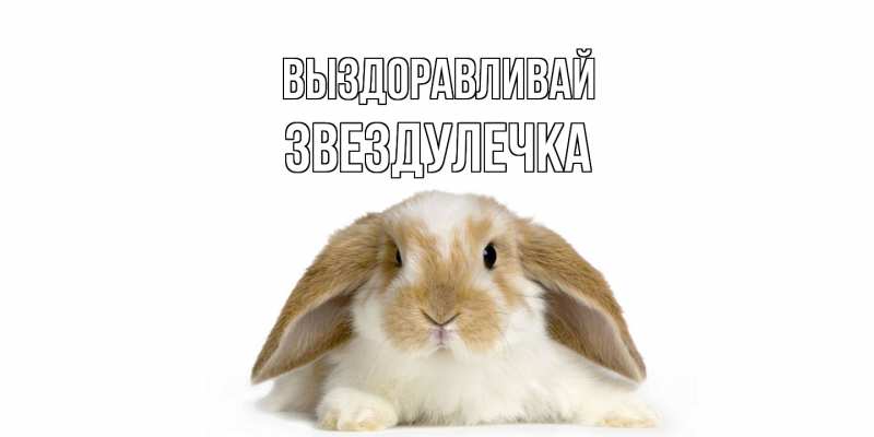 Картинка Выздоравливай, Звездулечка