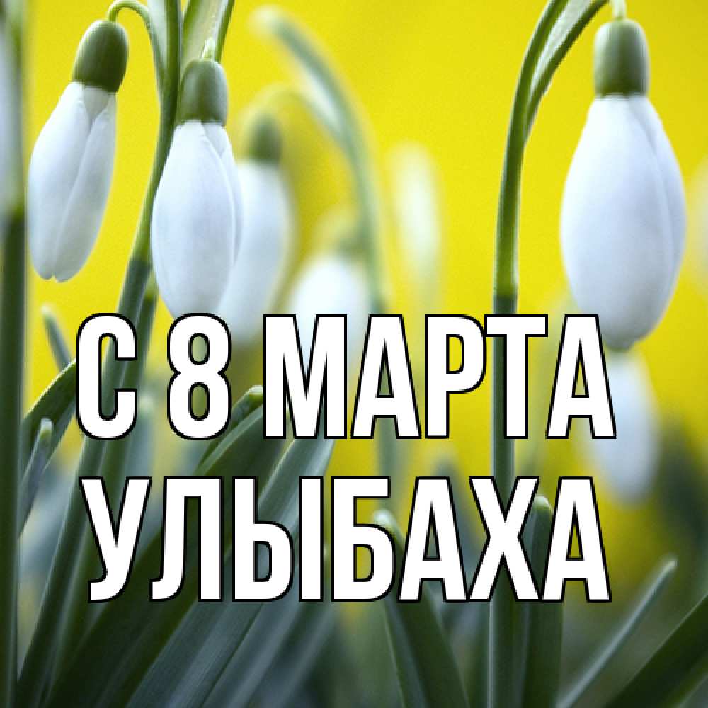 Открытка на каждый день с именем, Улыбаха C 8 МАРТА весенние цветы Прикольная открытка с пожеланием онлайн скачать бесплатно 