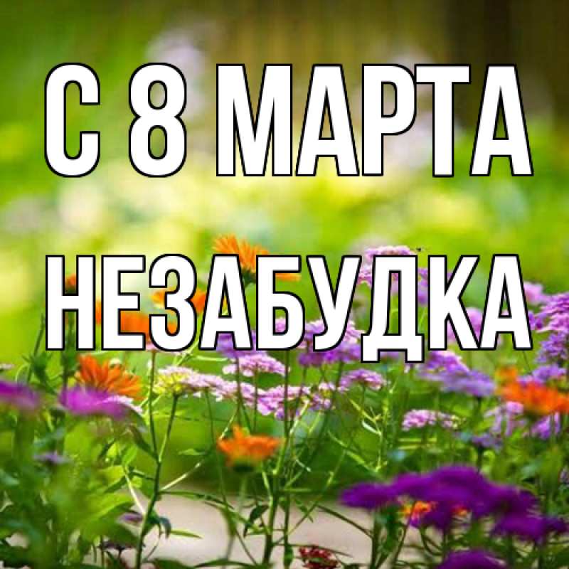 Картинка C 8 МАРТА, Незабудка
