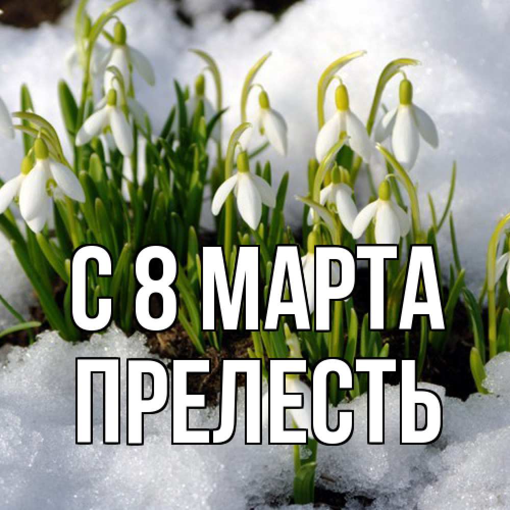 Открытка на каждый день с именем, прелесть C 8 МАРТА цветы весенние Прикольная открытка с пожеланием онлайн скачать бесплатно 
