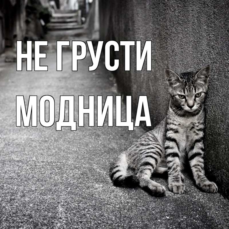 Картинка Не грусти, Модница