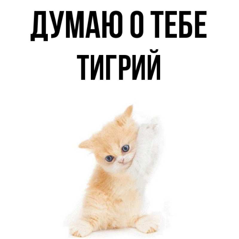 Картинка Думаю о тебе, Тигрий
