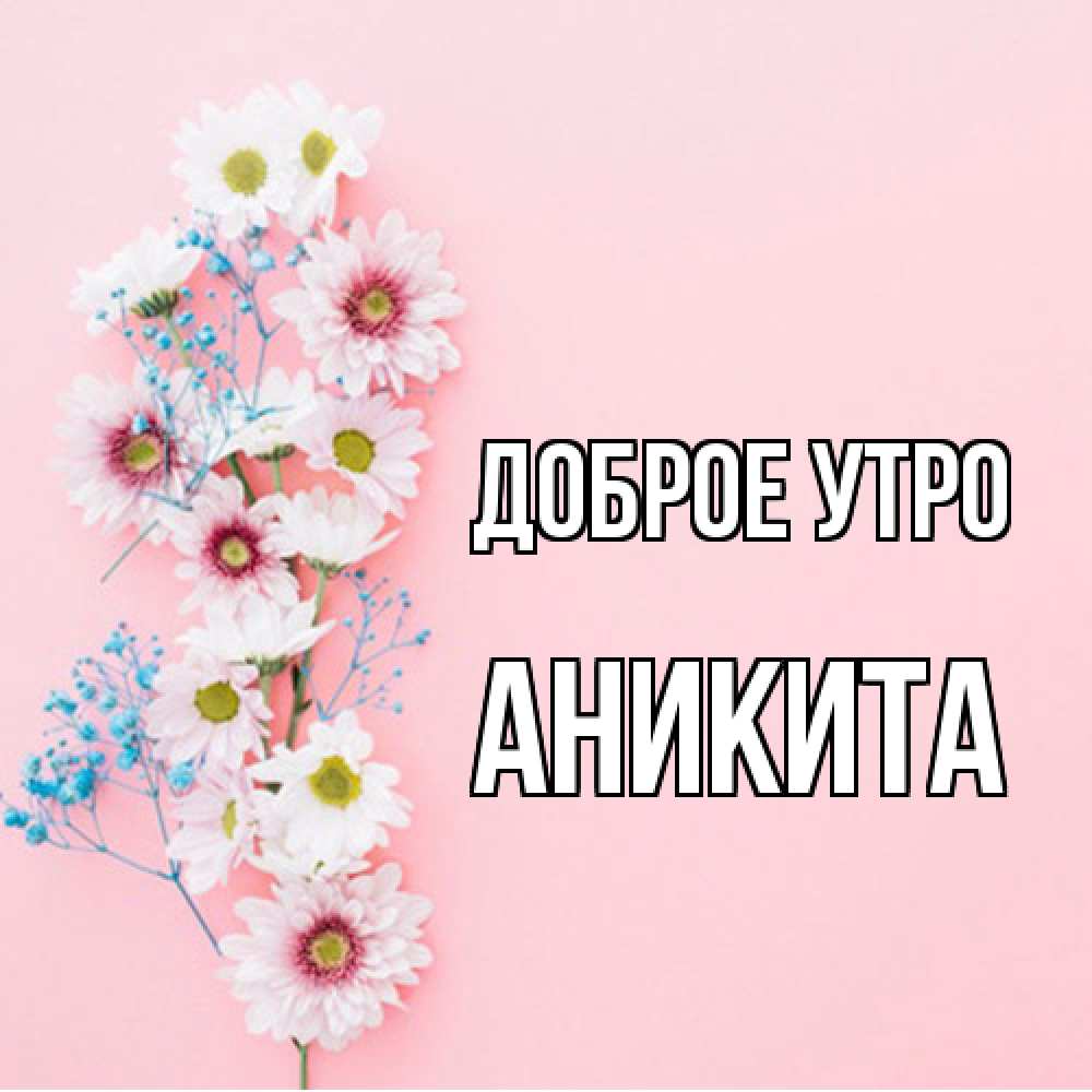 Открытка на каждый день с именем, Аникита Доброе утро цветы с подписью Прикольная открытка с пожеланием онлайн скачать бесплатно 