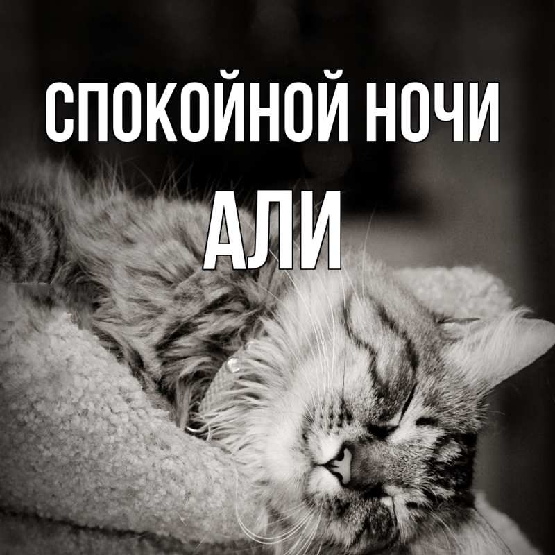 Картинка Спокойной ночи, Али