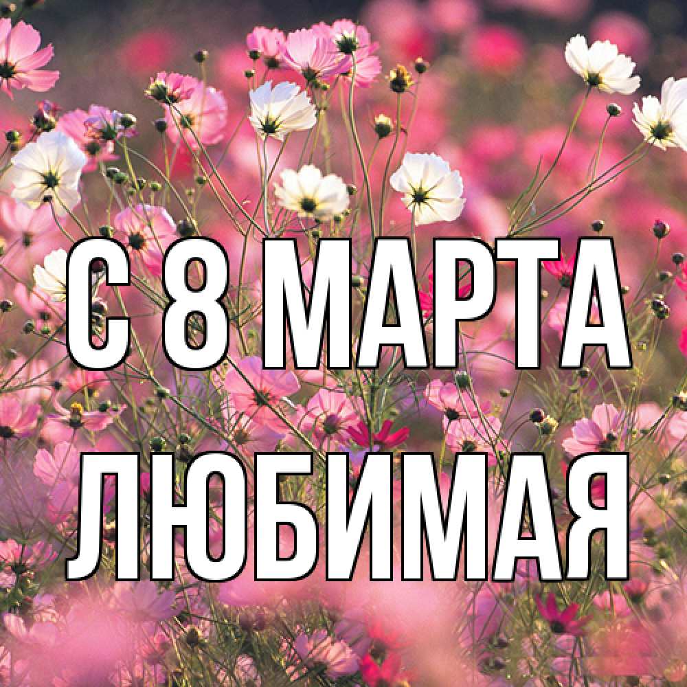 Открытка на каждый день с именем, Любимая C 8 МАРТА красиво 1 Прикольная открытка с пожеланием онлайн скачать бесплатно 