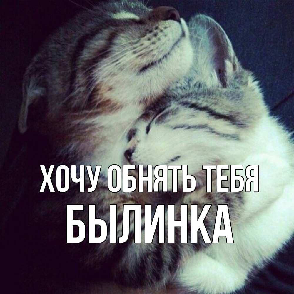 Открытка на каждый день с именем, былинка Хочу обнять тебя полосатики Прикольная открытка с пожеланием онлайн скачать бесплатно 