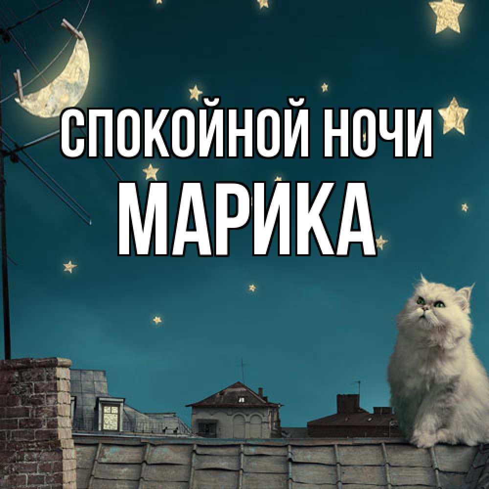 Открытка на каждый день с именем, Марика Спокойной ночи белый кот сидит на крыше Прикольная открытка с пожеланием онлайн скачать бесплатно 