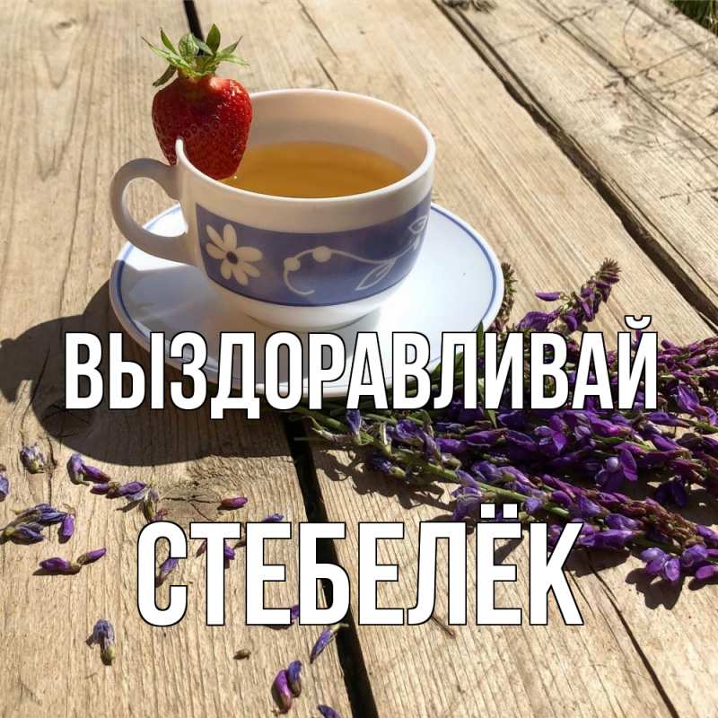 Картинка Выздоравливай, Стебелёк