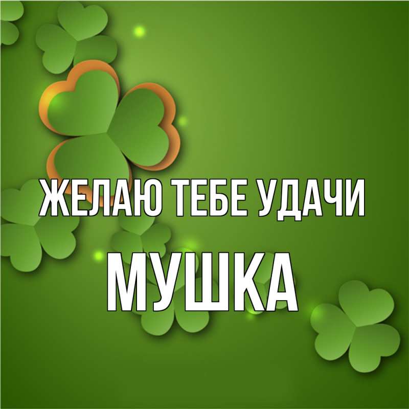 Картинка Желаю тебе удачи, мушка