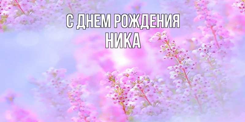 Картинка С днем рождения, Ника