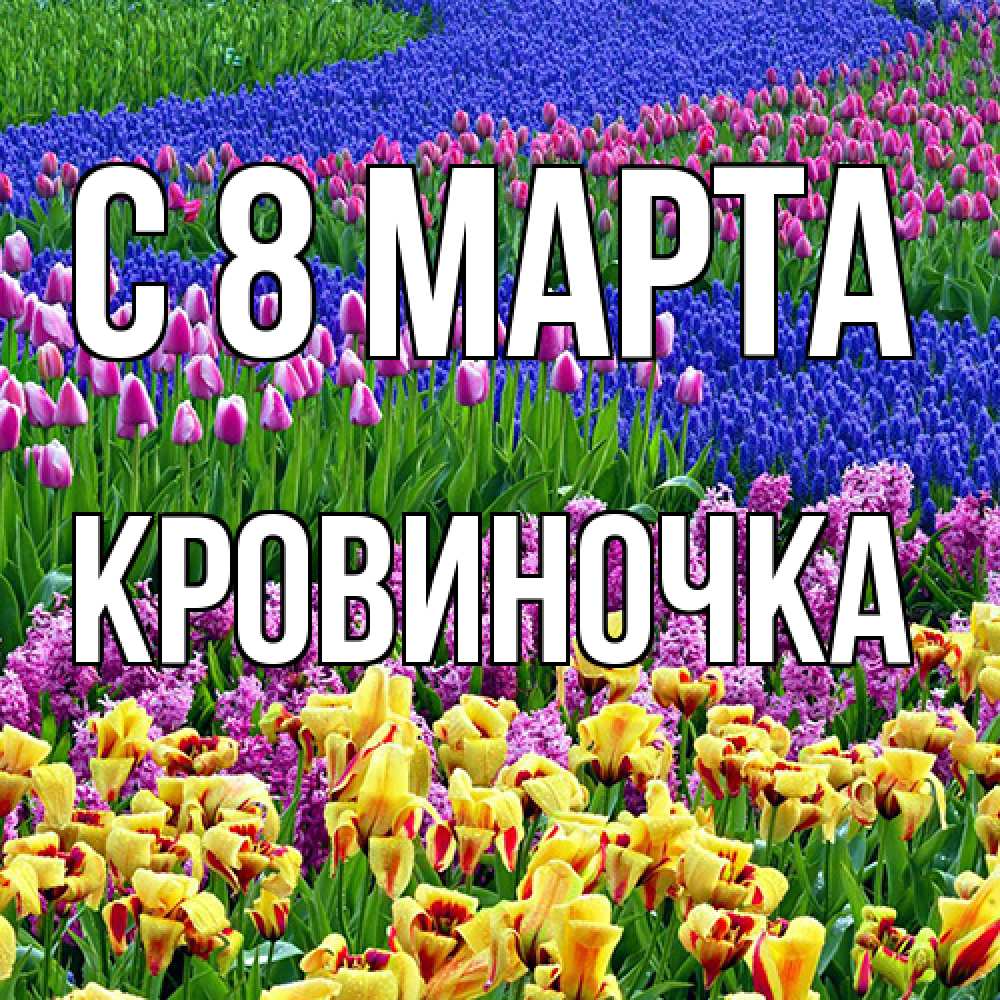 Открытка на каждый день с именем, кровиночка C 8 МАРТА цветы Прикольная открытка с пожеланием онлайн скачать бесплатно 
