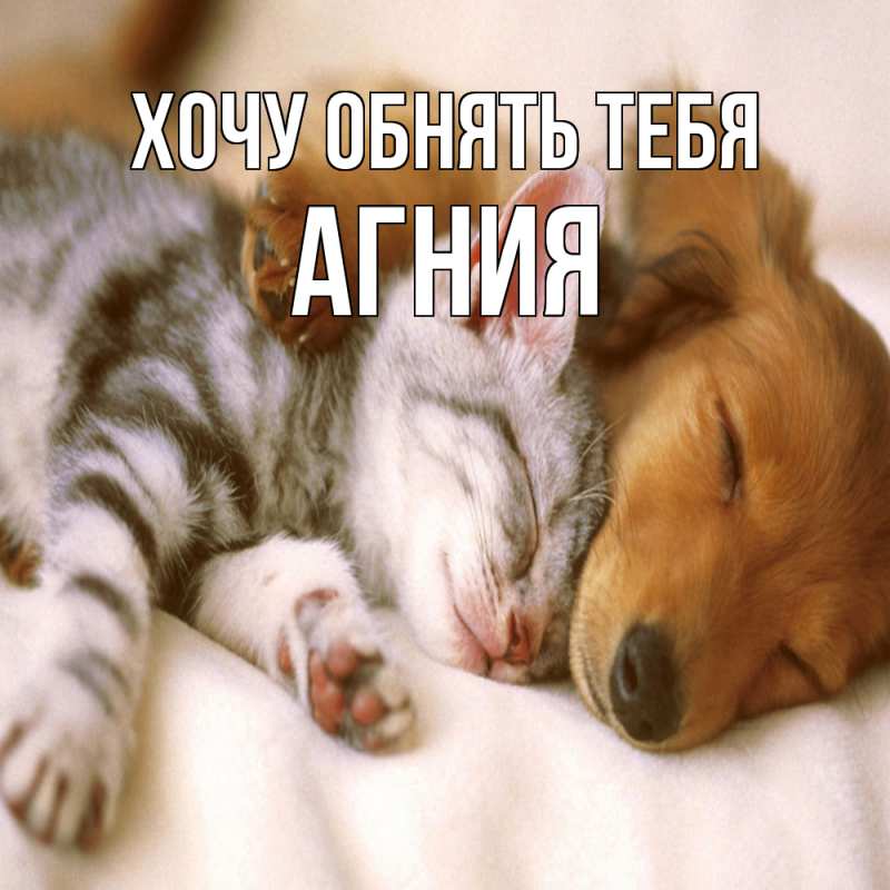 Картинка Хочу обнять тебя, Агния