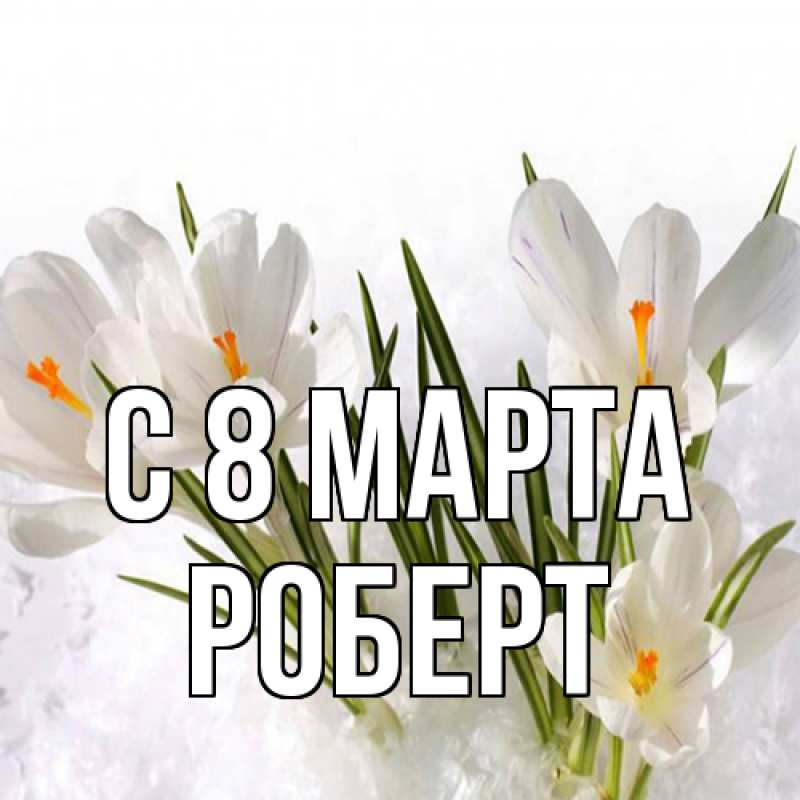 Картинка C 8 МАРТА, Роберт