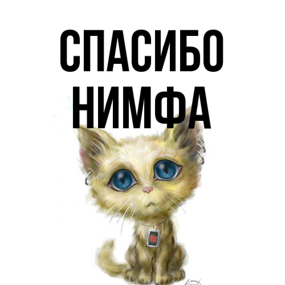 Открытка на каждый день с именем, Нимфа Спасибо рисованный кот благодарит вас Прикольная открытка с пожеланием онлайн скачать бесплатно 