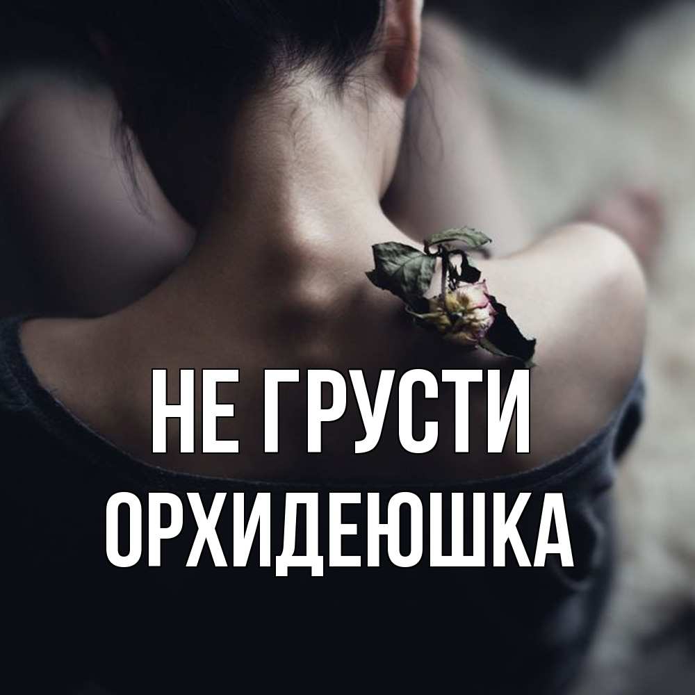 Открытка на каждый день с именем, Орхидеюшка Не грусти девушка со спины Прикольная открытка с пожеланием онлайн скачать бесплатно 