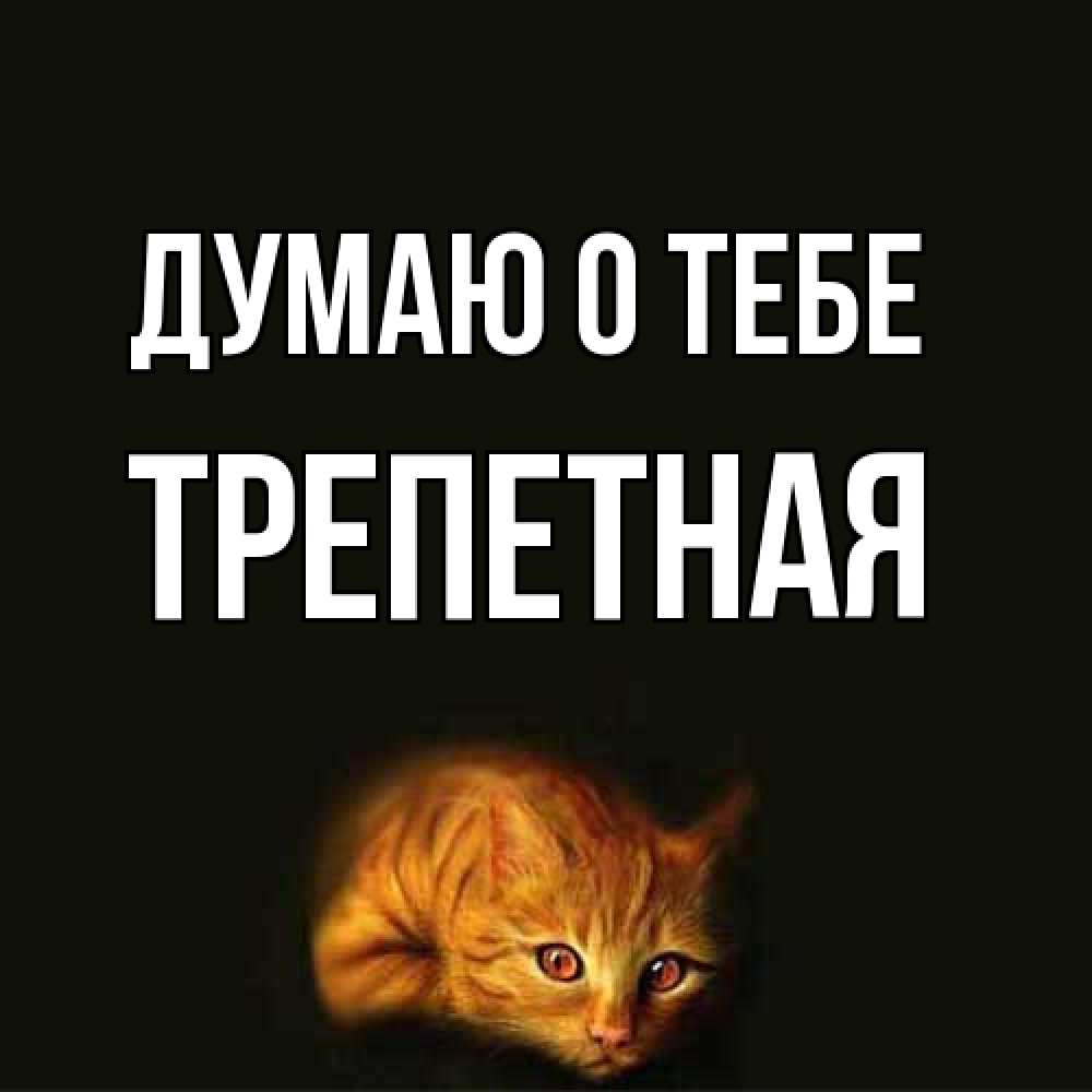 Открытка на каждый день с именем, Тpепетная Думаю о тебе рыжий Прикольная открытка с пожеланием онлайн скачать бесплатно 