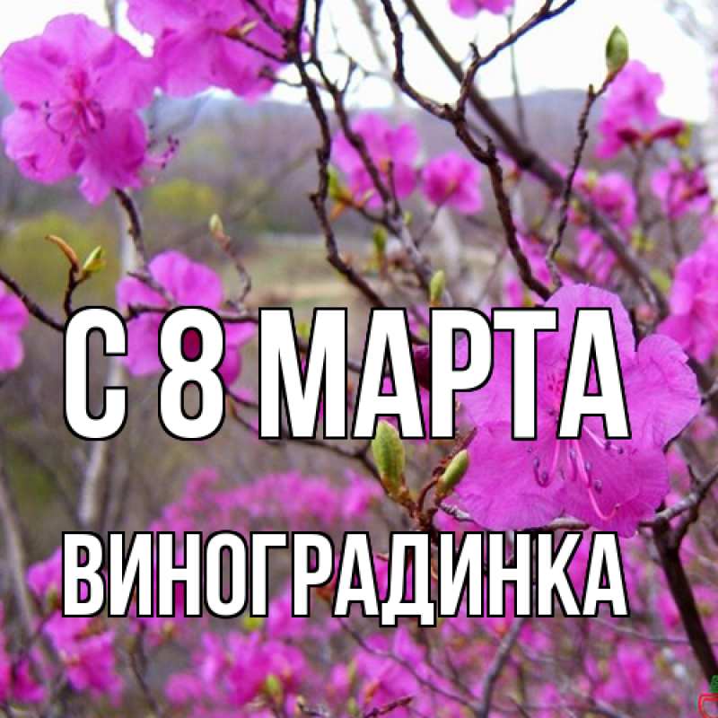 Картинка C 8 МАРТА, виноградинка