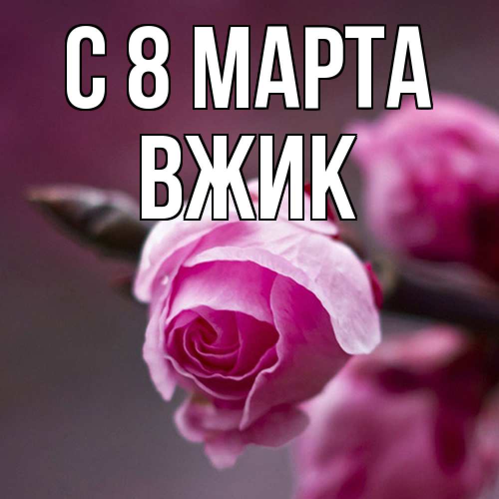 Открытка на каждый день с именем, Вжик C 8 МАРТА весна Прикольная открытка с пожеланием онлайн скачать бесплатно 