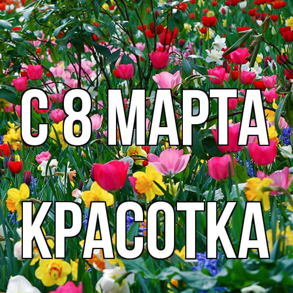 Открытка на каждый день с именем, Красотка C 8 МАРТА с международным женским днем поздравления для женщины Прикольная открытка с пожеланием онлайн скачать бесплатно 