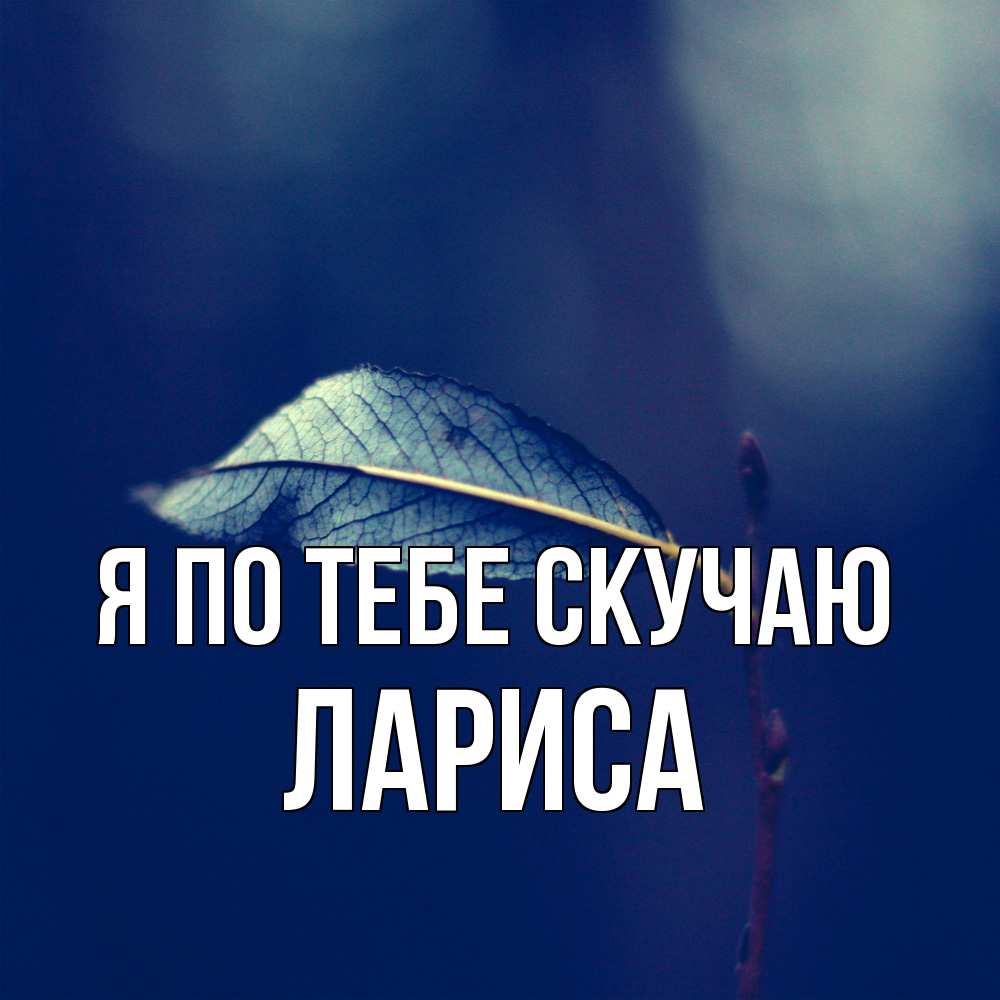 Открытка на каждый день с именем, Лариса Я по тебе скучаю одна ветка 1 Прикольная открытка с пожеланием онлайн скачать бесплатно 