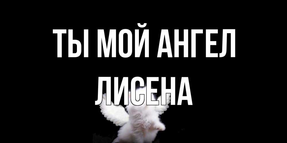Открытка на каждый день с именем, Лисена Ты мой ангел Кот ангел Прикольная открытка с пожеланием онлайн скачать бесплатно 