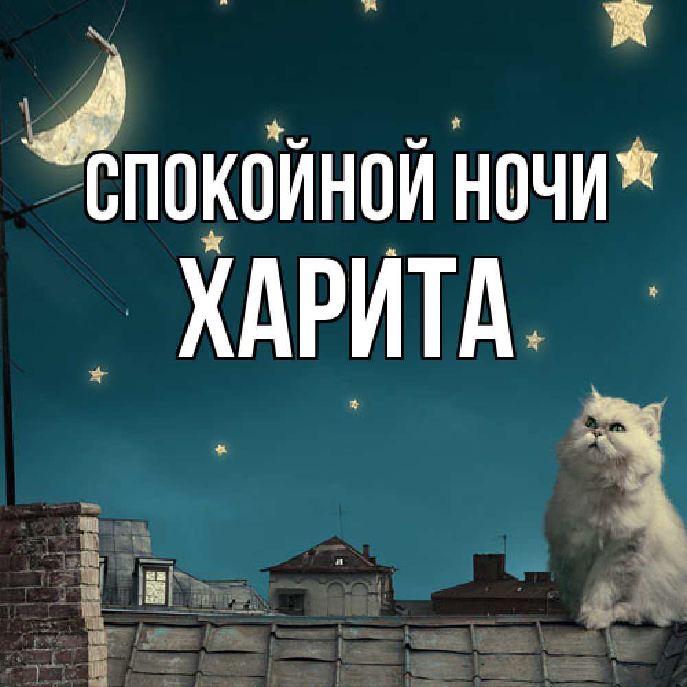 Открытка на каждый день с именем, Харита Спокойной ночи белый кот сидит на крыше Прикольная открытка с пожеланием онлайн скачать бесплатно 