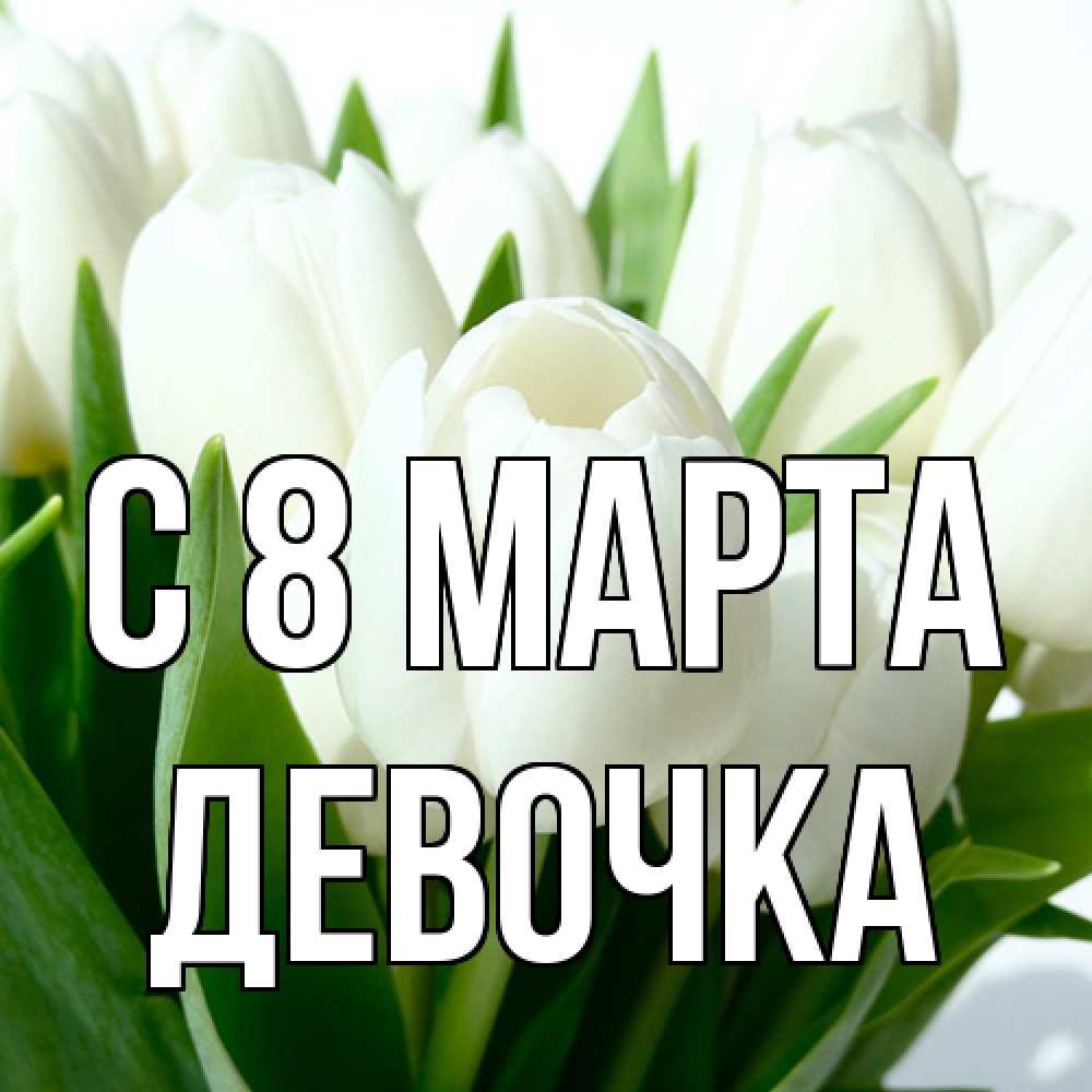 Открытка на каждый день с именем, девочка C 8 МАРТА цветы Прикольная открытка с пожеланием онлайн скачать бесплатно 