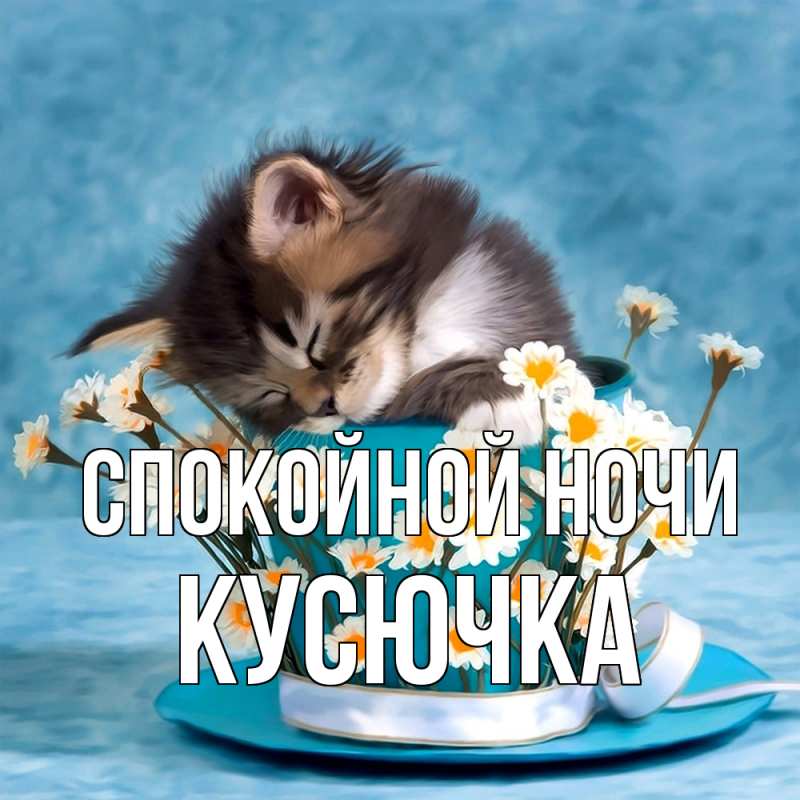 Картинка Спокойной ночи, Кусючка