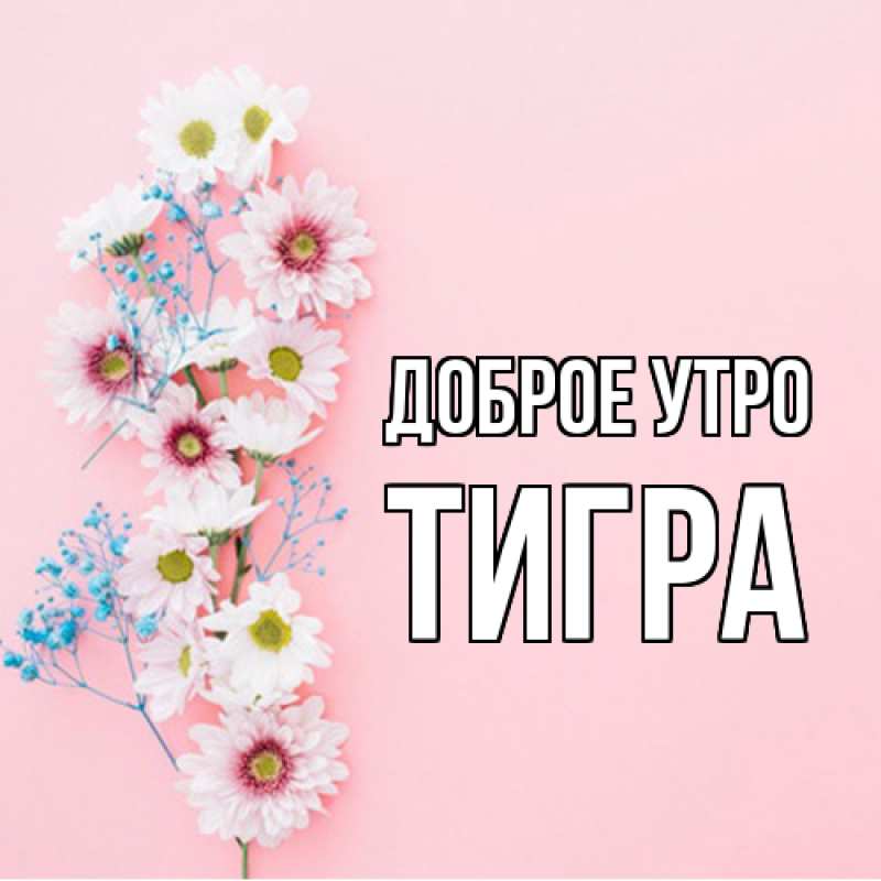 Картинка Доброе утро, Тигpа