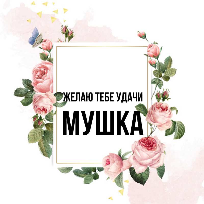 Картинка Желаю тебе удачи, мушка